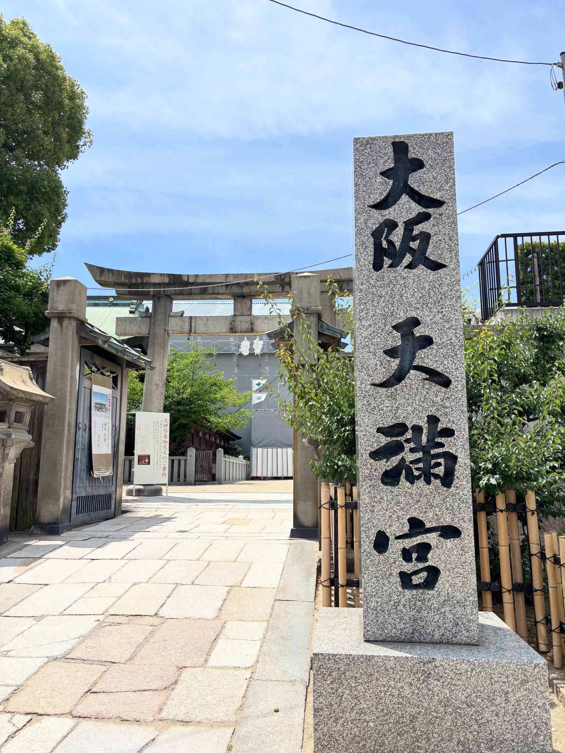 6月スタート🌿
